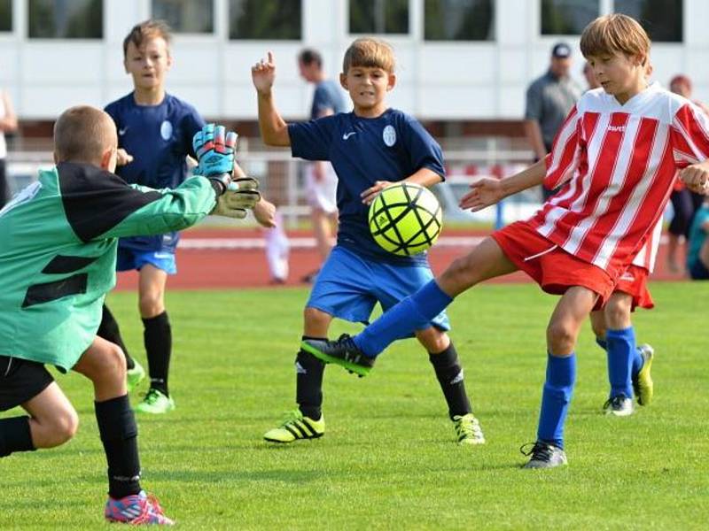 Pohár prezidenta FK Mladá Boleslav.