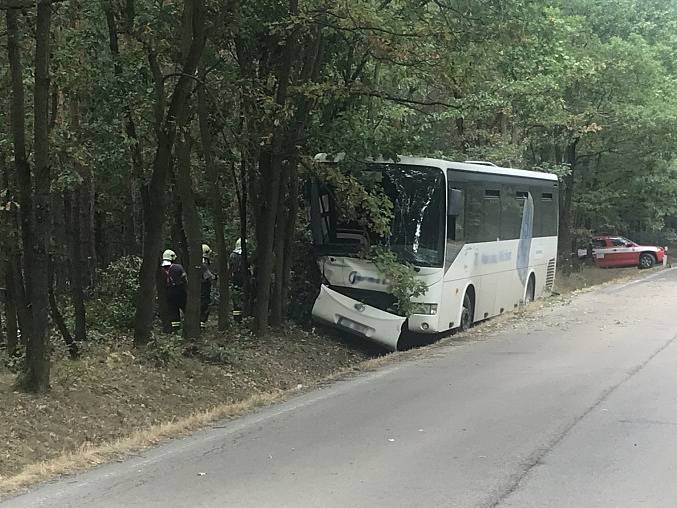 Nehoda autobusu u Skorkova.