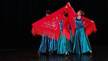 Mladoboleslavská Shareefa slaví úspěchy. Z víkendové taneční soutěže přivezla hned tři cenné kovy.