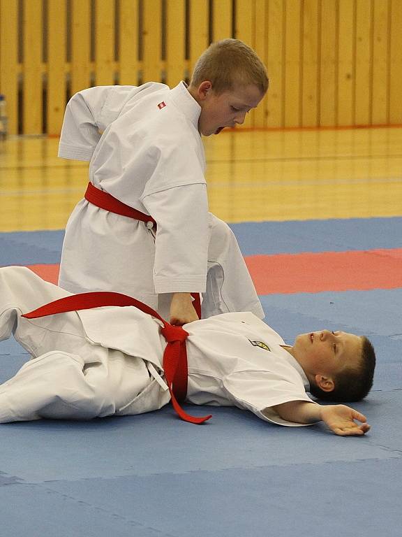 Auto Škoda - karate - krajské přebory 2013