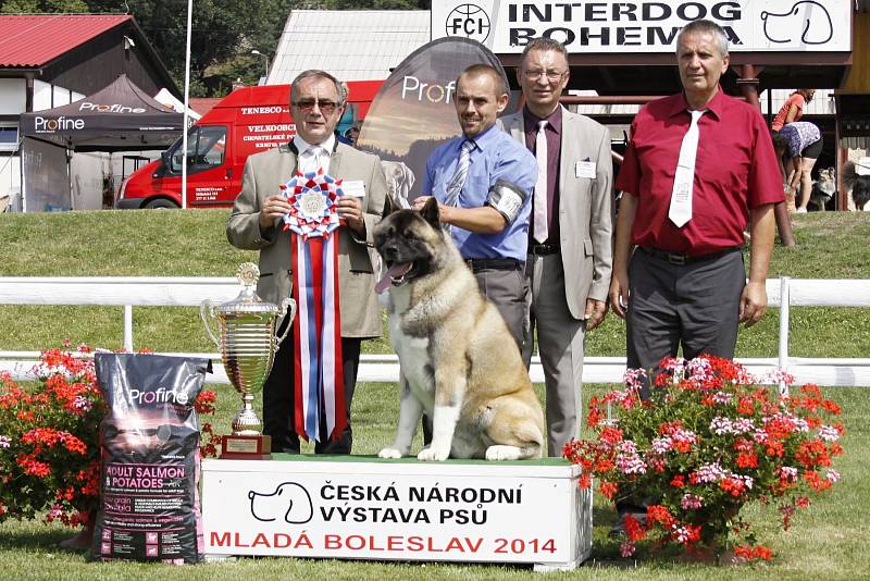 O víkendu proběhla na Krásné louce národní výstava Interdog Bohemia