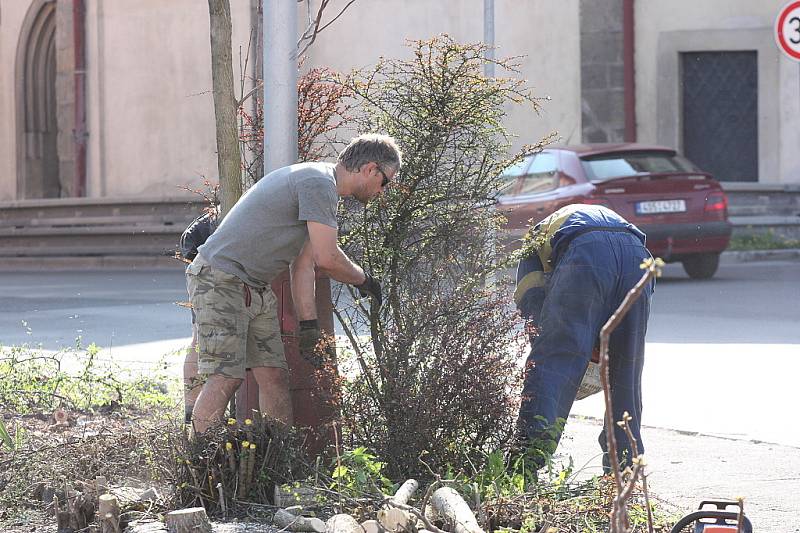 Kácení stromů na parkovišti na Komenského náměstí začalo, přestože stromy i keře se chystají na vykvetení a na stromech už mají nová hnízda ptáci. Radnice prý kácení udělila výjimku.