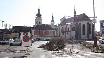 Řidiči si ze zákazem parkování hlavu nelámali. Že na ně může spadnout strom? No a? A kde byla městská policie?