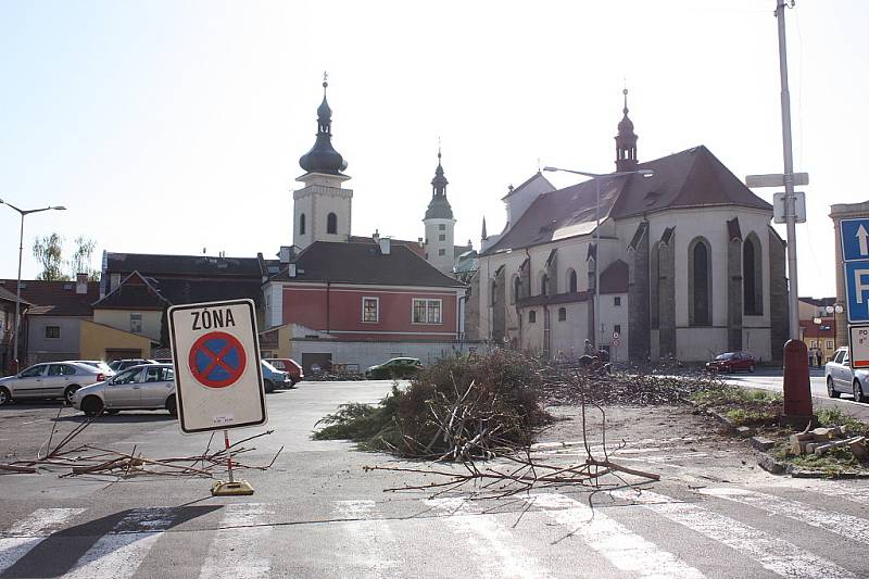 Řidiči si ze zákazem parkování hlavu nelámali. Že na ně může spadnout strom? No a? A kde byla městská policie?