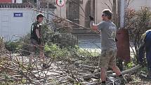 Kácení stromů na parkovišti na Komenského náměstí začalo, přestože stromy i keře se chystají na vykvetení a na stromech už mají nová hnízda ptáci. Radnice prý kácení udělila výjimku.