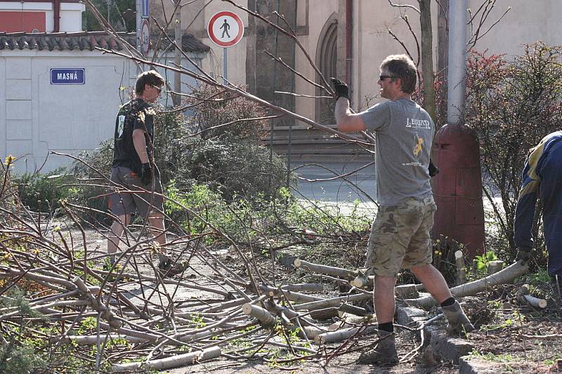 Kácení stromů na parkovišti na Komenského náměstí začalo, přestože stromy i keře se chystají na vykvetení a na stromech už mají nová hnízda ptáci. Radnice prý kácení udělila výjimku.