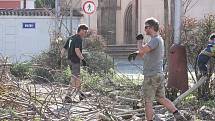 Kácení stromů na parkovišti na Komenského náměstí začalo, přestože stromy i keře se chystají na vykvetení a na stromech už mají nová hnízda ptáci. Radnice prý kácení udělila výjimku.