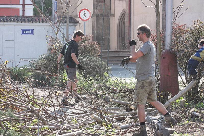 Kácení stromů na parkovišti na Komenského náměstí začalo, přestože stromy i keře se chystají na vykvetení a na stromech už mají nová hnízda ptáci. Radnice prý kácení udělila výjimku.