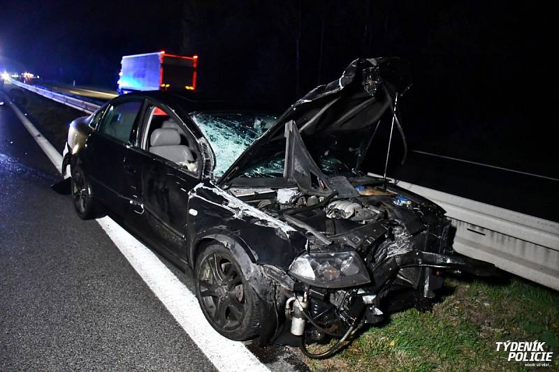 Na dálnici D10 došlo v pondělí večer k hromadné nehoda několika vozidel a stáda divokých prasat.