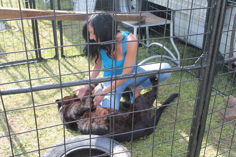 Cirkus Bernes, kterému neřekne nikdo jinak než Berousek , zde zahájí premiérovým představením druhou polovinu letošní sezony.