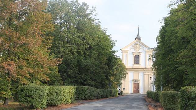 Lipová alej vedoucí od zámku ke kostelu Povýšení Sv. Kříže. 