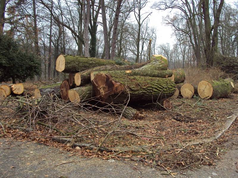 Park krnského zámku po "čištění".