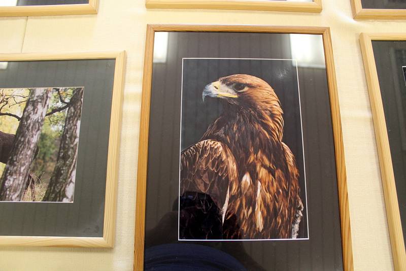 Z výstavy milovníka přírody a amatérského fotografa Jiřího Kubína v sále restaurace v Březovicích.