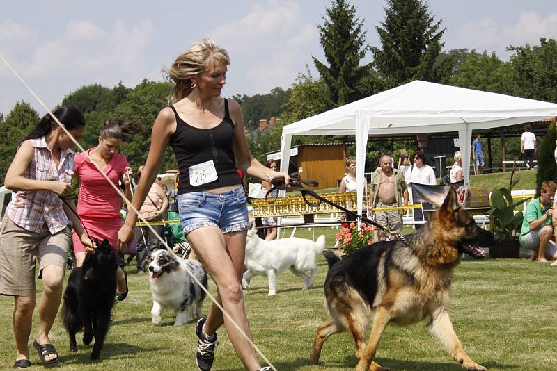 O víkendu proběhla na Krásné louce národní výstava Interdog Bohemia