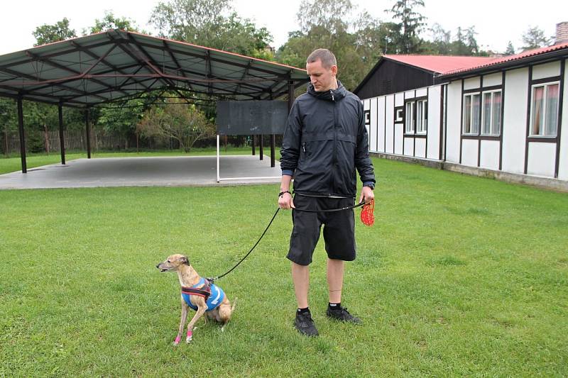 Závody chrtů na Krásné louce se odehrály 19. srpna.