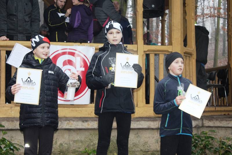 120 závodníků se vydalo vstříc několika tratím 34. ročníku Silvestrovského běhu v lesoparku Štěpánka v Mladé Boleslavi. Tu hlavní vyhrál Jiří Miler z domácího AC Mladá Boleslav.