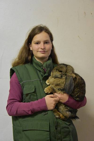 V Dobrovici se v sobotu konala výstava králíků, holubů a drůbeže.