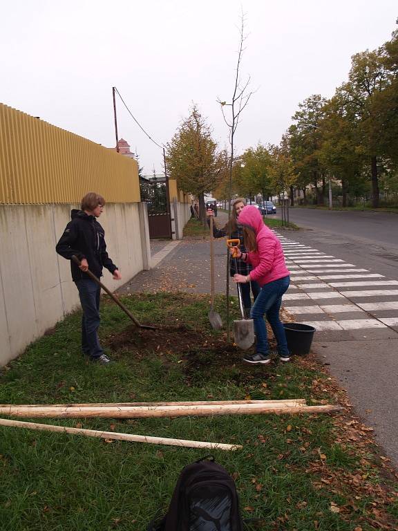 Den stromů 2015 v Mladé Boleslavi