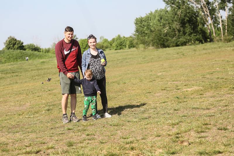 Syslí louka v přírodním parku Radouč ve středu 18. května 2022.