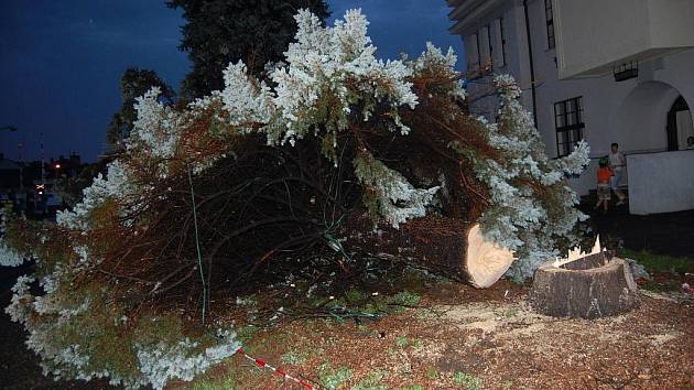 Vánoční strom v Bakově u Sokolovny už nikdy zářit nebude