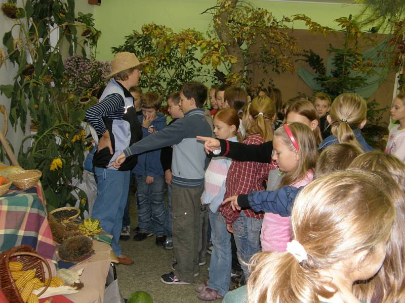 Výstava Plody podzimu přivábila mnoho návštěvníků.