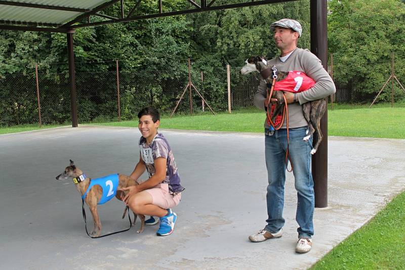 Závody chrtů na Krásné louce se odehrály 19. srpna.