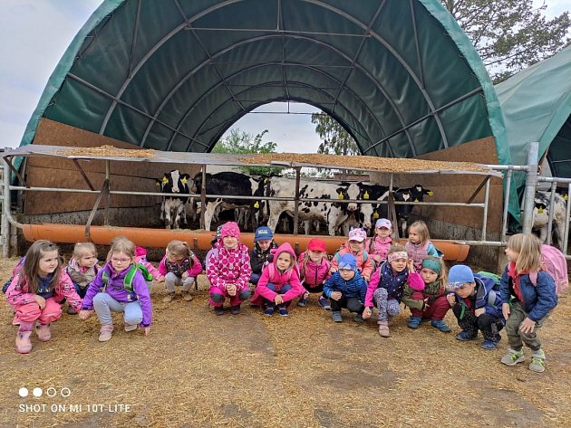 Děti ze školky v Bakově nad Jizerou navštívily kravín v Semčicích