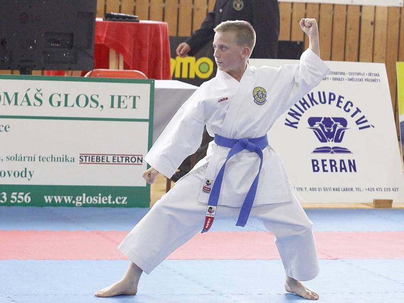 Karate Auto Škoda MB Národní pohár Ústí nad Labem