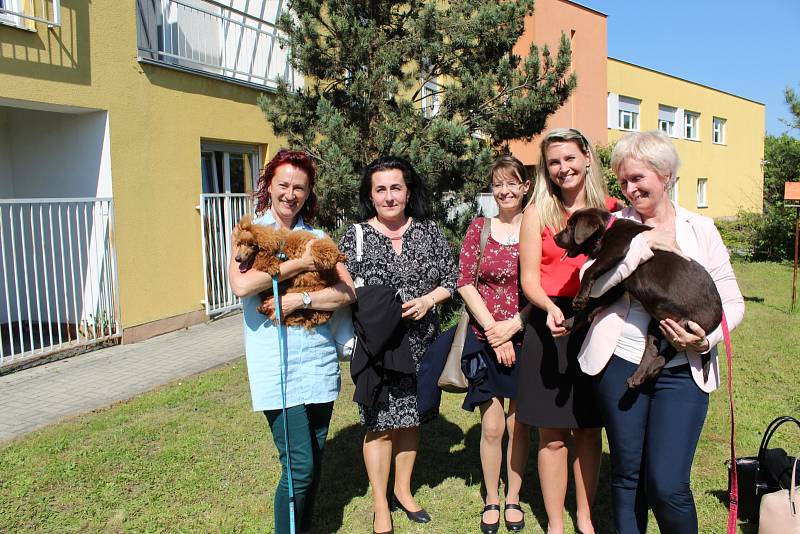 OBYVATELE LÉČEBNY dlouhodobě nemocných na Celně v Mladé Boleslavi ve čtvrtek odpoledne navštívila parta čtyřnohých kamarádů.
