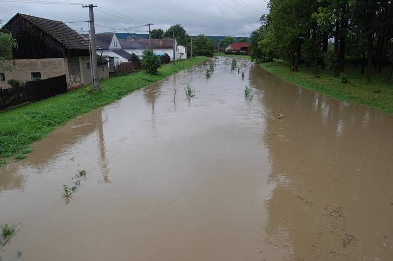 Rozvodněná Klenice - Židněves