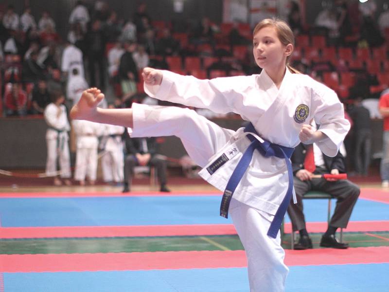 XIX.Vánoční cena Mladé Boleslavi v karate 2012