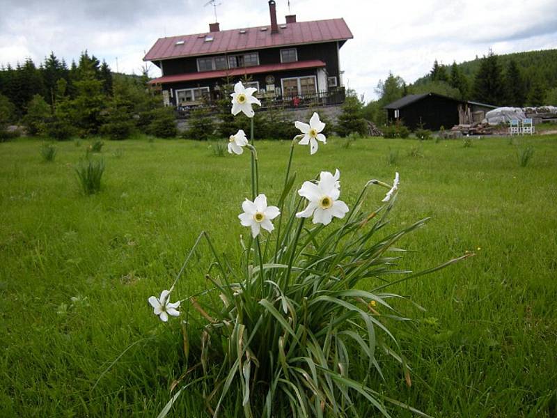 Old skauti na výpravě.