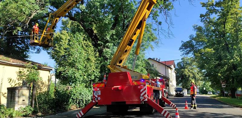 Nečekaný pád stromu na dům a do elektrického vedení zaměstnal v pátek ráno jednotku nymburských drážních hasičů.