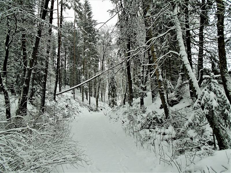 Paní Jiřina Knížková se ráda toulá okolím Bělé pod Bezdězem a fotí krajinu