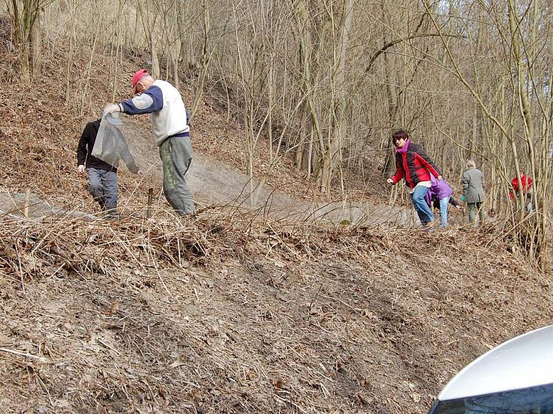 Stavění bariér pro migrující obojživelníky u Podhradské tůně u Bakova nad Jizerou