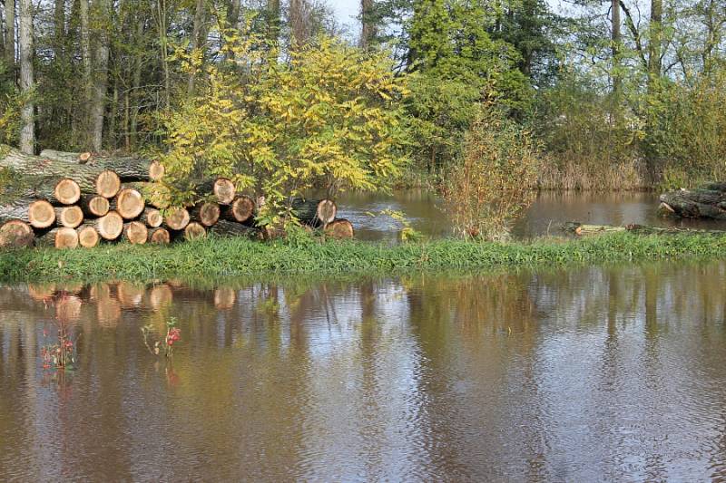 Vylitá Jizera v Bakově.