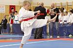 Liberecký pohár v karate