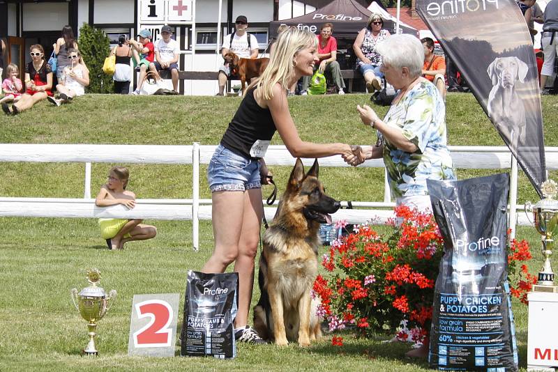 O víkendu proběhla na Krásné louce národní výstava Interdog Bohemia