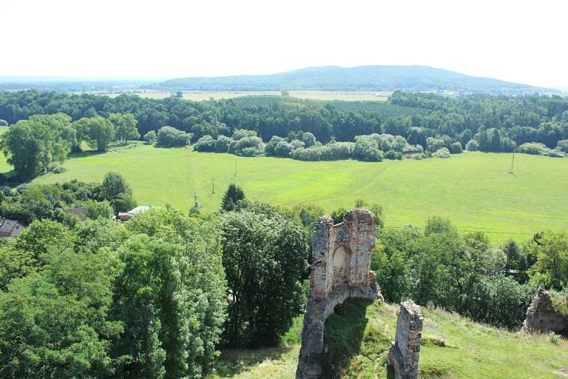 Zřícenina hradu Zvířetice míří na televizní obrazovky. Štáb České televize tu natáčel příspěvek do pořadu Toulavá kamera, a to o projektu Vision21: Ztracený zámek hraběnky Eleonory. Ten mimo jiného představuje dávnou podobu zámku.