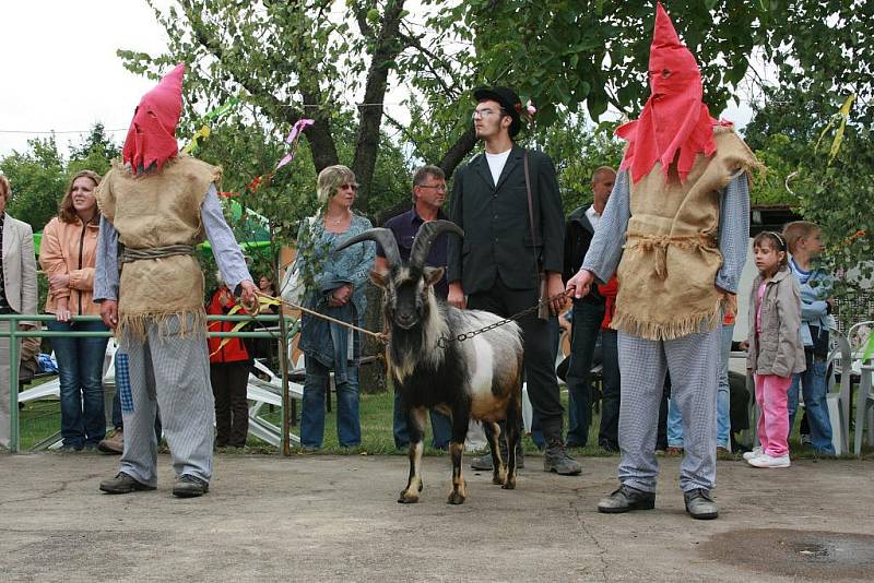 Letošní Házení kozla v Nové Telibi