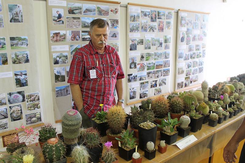 Více jak dva a půl tisíce kaktusů a sukulentů mohou obdivovat návštěvníci mladoboleslavského hradu ve výstavním sále okresního archivu.