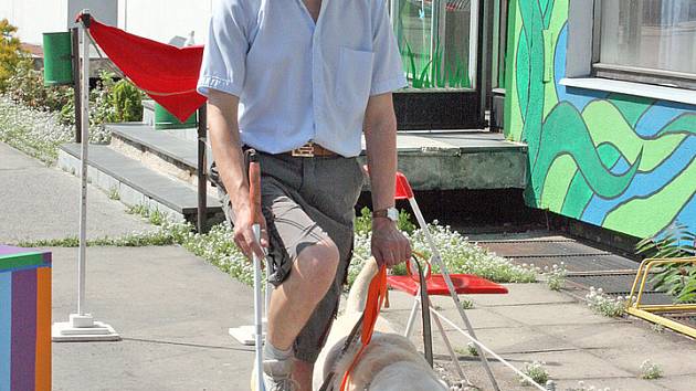 Vodící pes je pro nevidomého nenahraditelným společníkem.