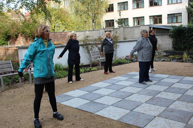 Senioři si užili ukázku TAI CHI a canisterapie