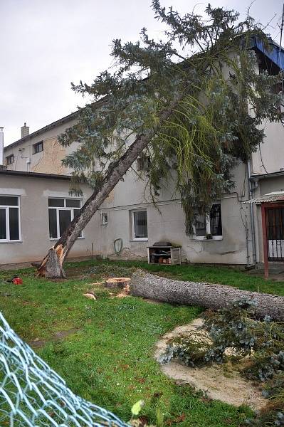 Následky vichřice Herwart, které se dotkly i areálu fotbalového stadionu v Mnichově Hradišti, odstraňuje místní firma Těžex. 