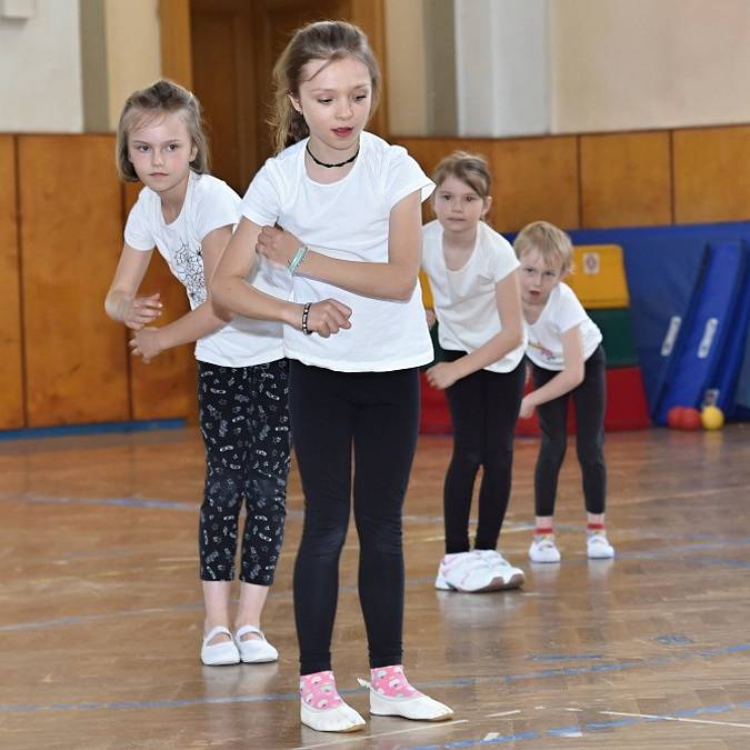 Tělocvičná jednota Sokol Mladá Boleslav uspořádala předsletovou akademii.