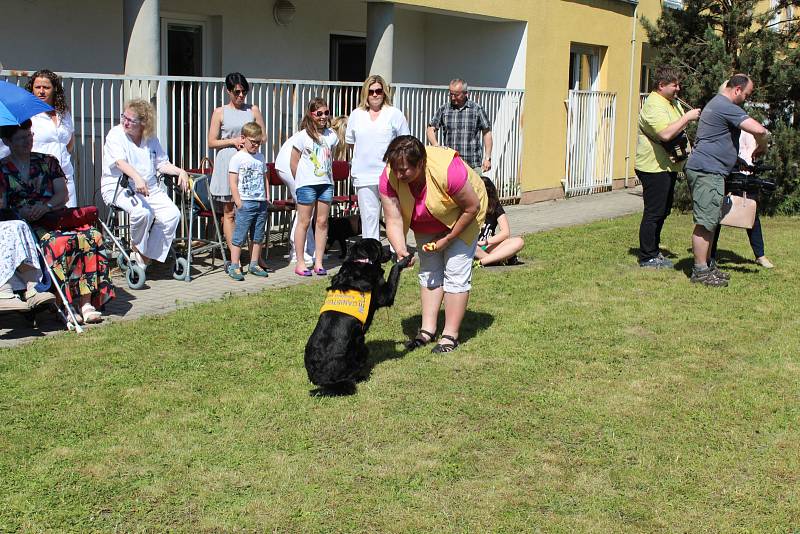 OBYVATELE LÉČEBNY dlouhodobě nemocných na Celně v Mladé Boleslavi ve čtvrtek odpoledne navštívila parta čtyřnohých kamarádů.