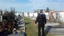 Tak jako každý rok v tomto období se asistenti prevence kriminality a strážníci městské policie věnují dohledu nad veřejným pořádkem ve vytipovaných lokalitách. Intenzivně se zaměřují především na místní hřbitovy a jejich bezprostřední okolí.