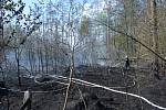 Požár lesní školky u obce Dolní Slivno.