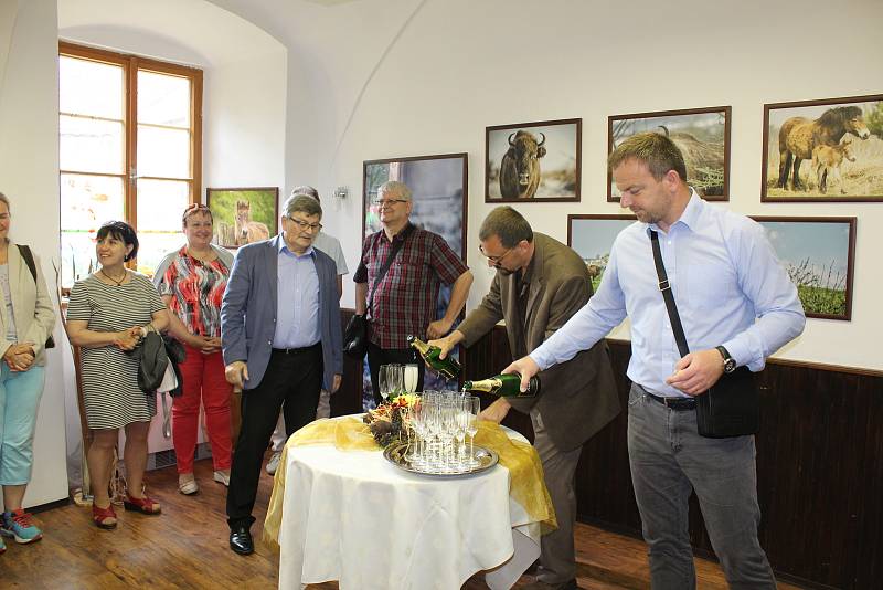 Na zámku v Benátkách nad Jizerou byla  otevřena stálá expozice velkých kopytníků. Výstava fotografií Vojtěcha Lukáše se nachází v prostorách informačního centra.