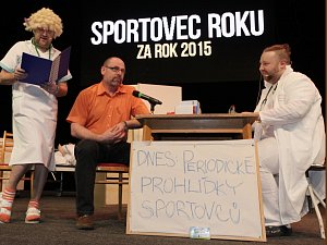 Sportovec Mladoboleslavska 2015